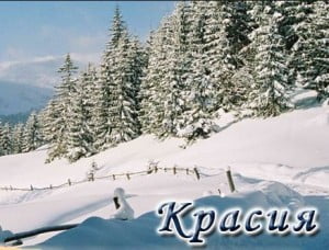 Красия