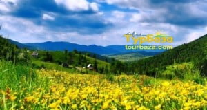 Карпати_панорама