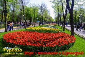 Дендропарк_в_Кировограде_1