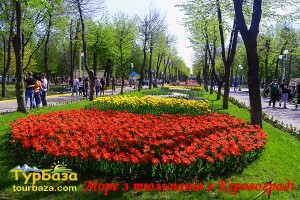 Дендропарк_в_Кировограде_1