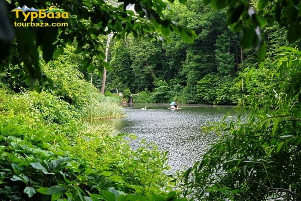 Парк_Олександрія