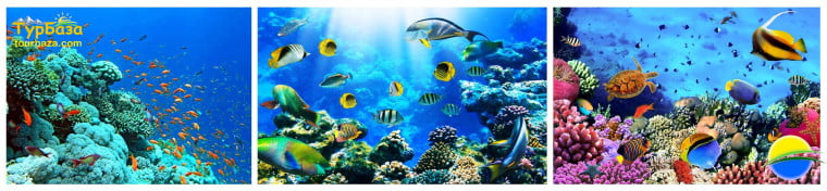 Відпочинок в Єгипті