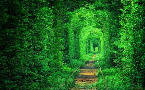 Тунель Кохання, селище Клевань, Рівненська область