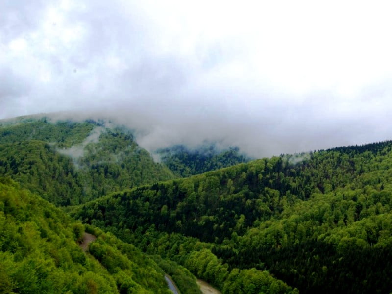 Гора Маковиц Маківка