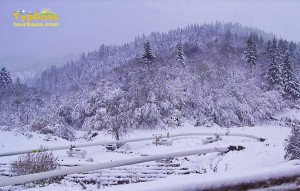 Хуст_зима