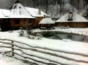 Лумшори, чани