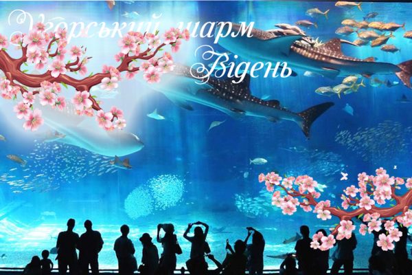 Угорський шарм + Відень