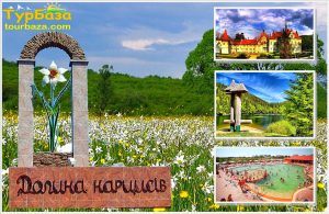 Долина_нарцисів_на_Травневі0