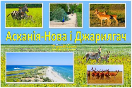 Асканія-Нова і Джарилгач