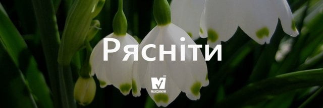 рясніти