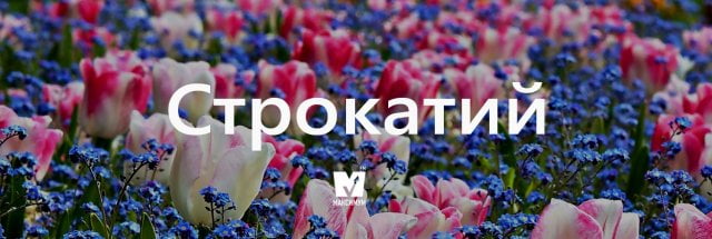 строкатий