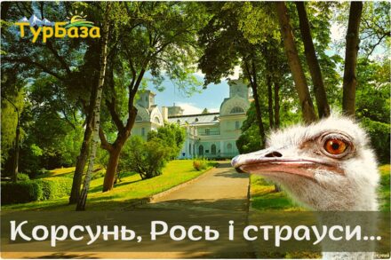 Корсунь, Рось і страуси...