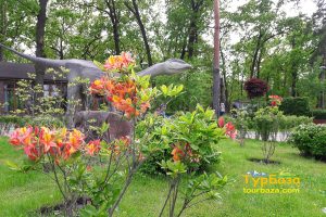 одноденні екскурсії