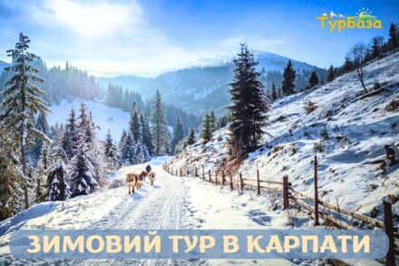 Зимовий тур в Карпати на 5 днів зі Львова