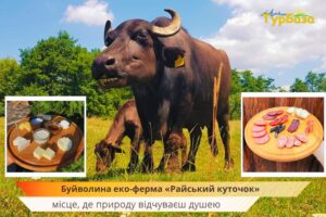 Буйволина еко-ферма та туристичний комплекс «Райський куточок»