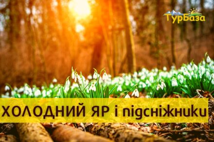 Холодний Яр підсніжники