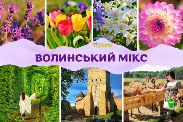 Волинський мікс - тур на Волинь • з Києва, з Житомира, з Рівного