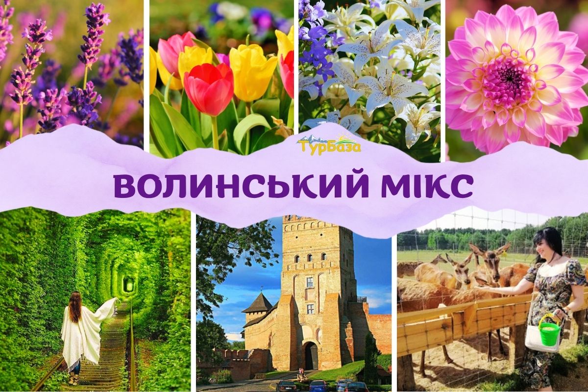 Волинський мікс - тур на Волинь • з Києва, з Житомира, з Рівного