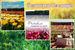 | ТК TурБаза Волынская Голландия - КвитоЛес
