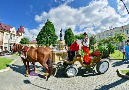Виноградів